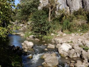 image115